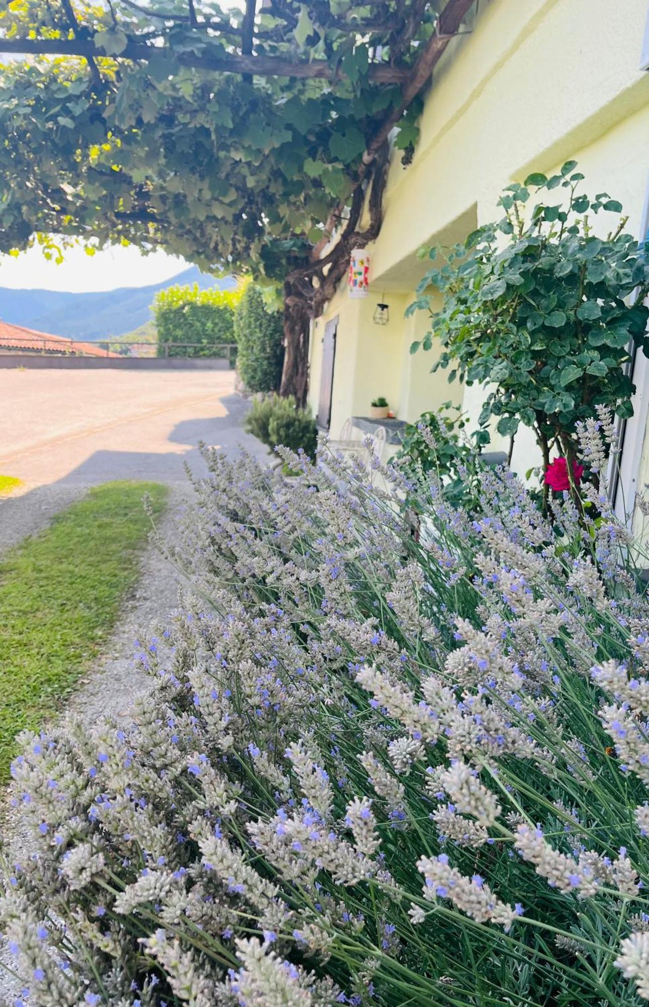 Beautiful Small With Maggiore View Brissago