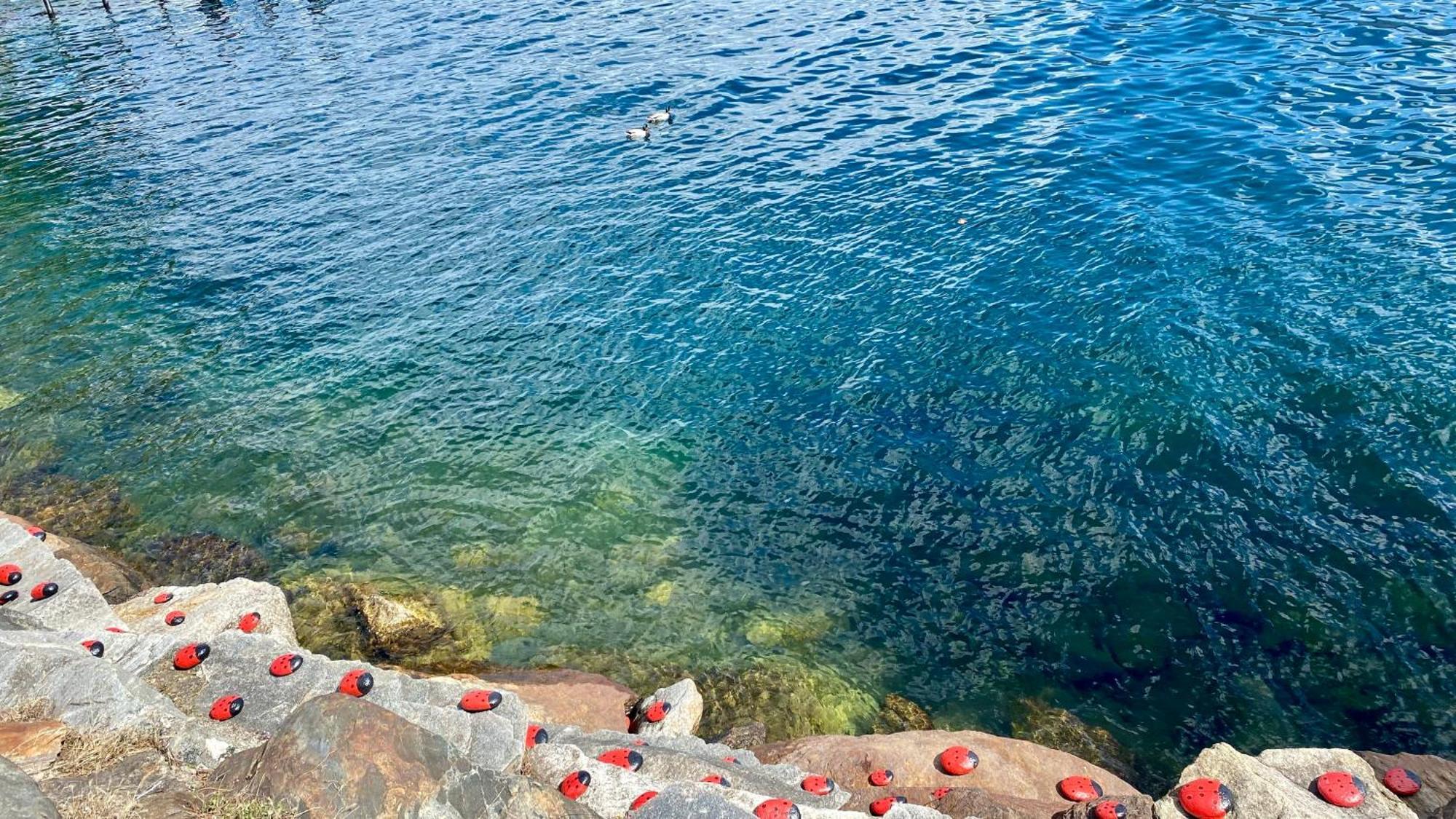 Beautiful Small With Maggiore View